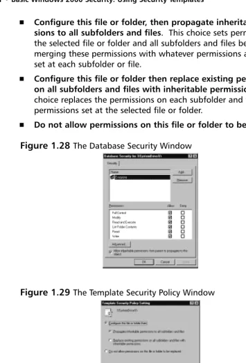 Figure 1.29 The Template Security Policy Window