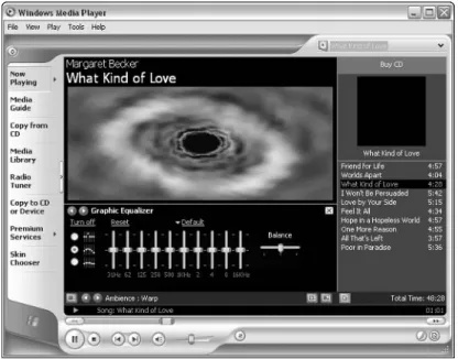 Figure 4-4: You can add an equalizer using the Enhancements option.