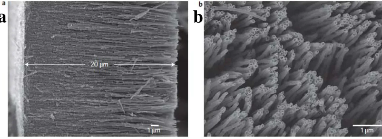 Figure 2-15. SEM images of 33  