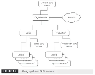 FIGURE 1.6Using upstream SUS servers