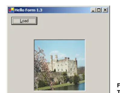 Figure 1.4The image loaded into the PictureBox 