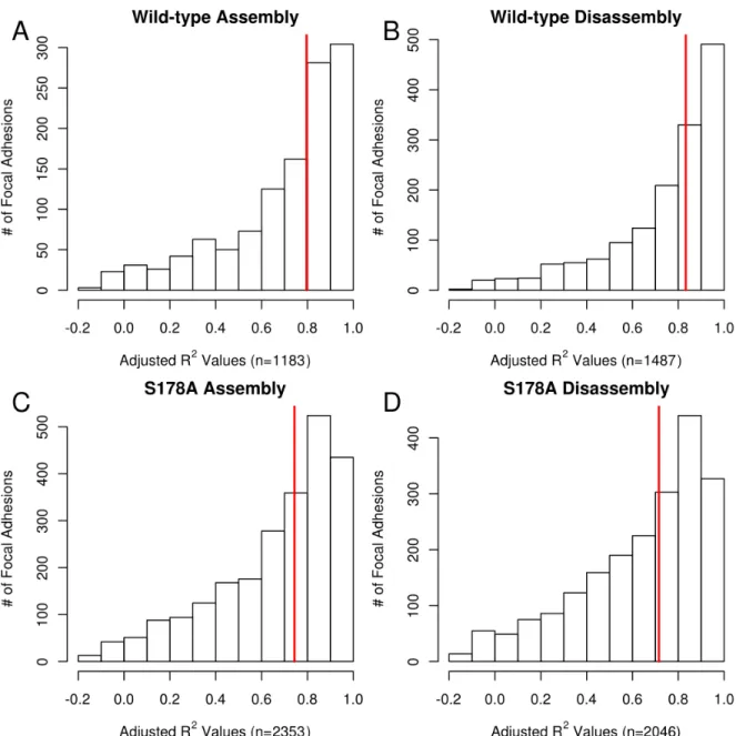 Figure 2.4: The assembly and disassembly log-linear models fit the Paxillin intensity time courses with high R 2 values