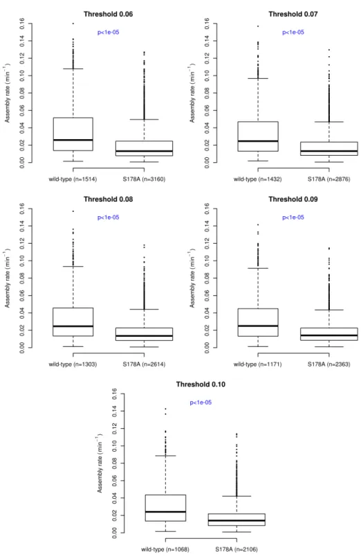 Figure 2.13: Changing the adhesion detection threshold does not affect the differences in the assembly rates between S178A mutant and wild-type cells