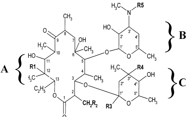 Figure 1-4Structure of erythromycin. 