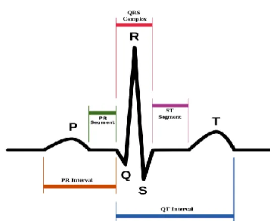 Figure 1: Normal ECG wave  
