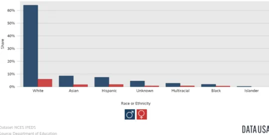 Figure 2: Diversity and Gender of Awarded Bachelor’s Degree in Software Engineering, 2016 [7]