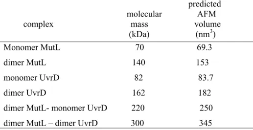Table 4.1 Predicted AFM volumes for MutL and UvrD 