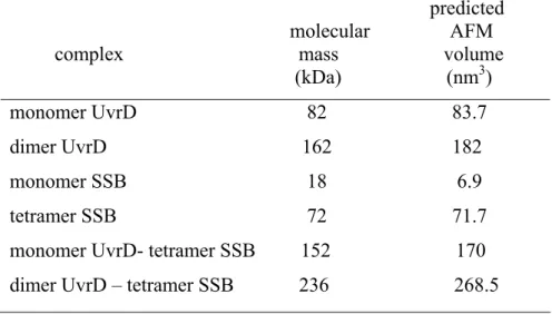 Table 2.1 Predicted AFM volumes for UvrD and SSB 