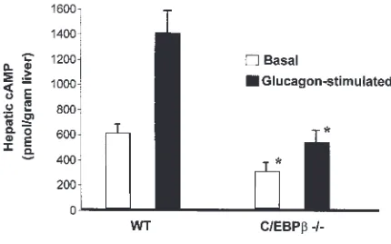 Figure 2Reduced hepatic cAMP production in mice homozygous for a deletion of