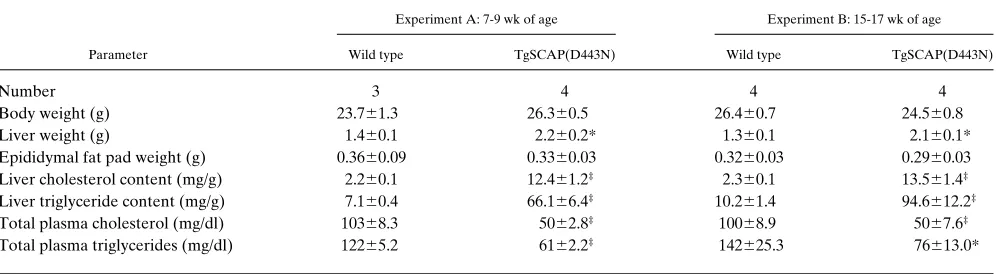 Figure 1. Livers from 12-wk-old wild-type (left) and TgSCAP-(D443N) (right) male mice from the same litter