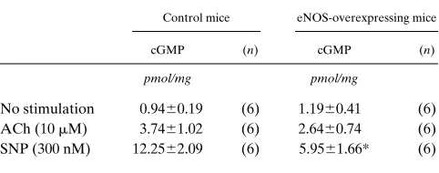 Table III. Increase in cGMP Levels in Response to Endothelium-dependent and -independent Vasodilators