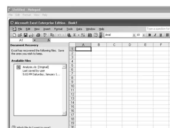 Figure 2-1.02ie01The Document Recovery task pane allows you to retrieve files you were working on when Excel crashed.