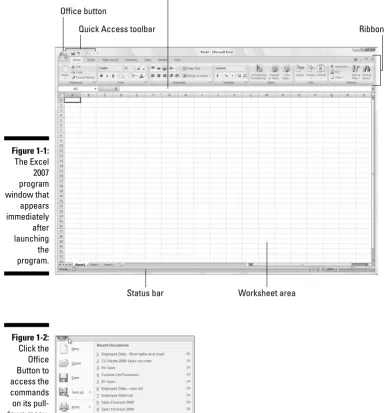Figure 1-1:The Excel