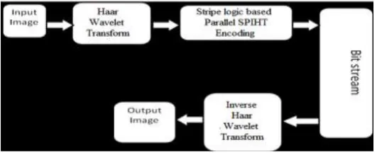 Fig 2: Types of Wavelet Transform 