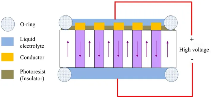 Figure 2. 9 A typical setup for electric field poling of ferroelectric crystals. Under 