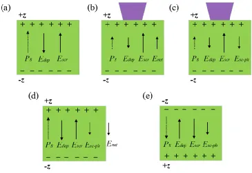 Figure 2. 12 Schematic of mechanism for domain inversion using CW UV laser 