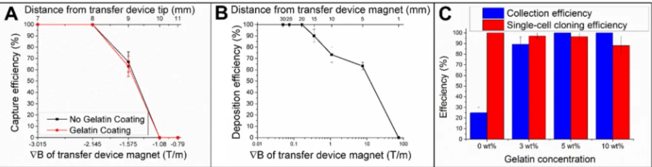 Figure 2.6 Efficiency of the magnetic collection device. (A) Microraft capture efficiency by  the magnetic device as a function of the magnetic field gradient