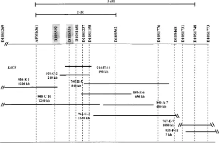 Table I. Multipoint NPLs for 15 Markers in a 2–3 cM Regionat 10q25