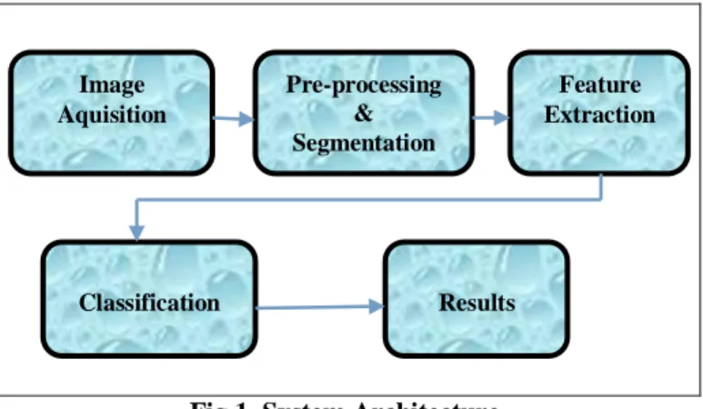 Fig 1. System Architecture 