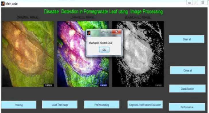Figure 7: Classified image of Phomopsis leaf 