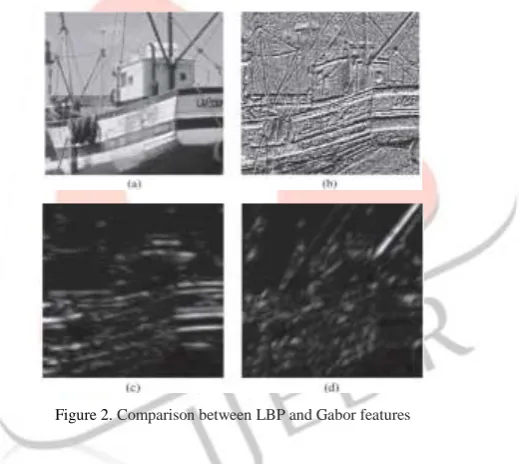 Figure 2. Comparison between LBP and Gabor features 