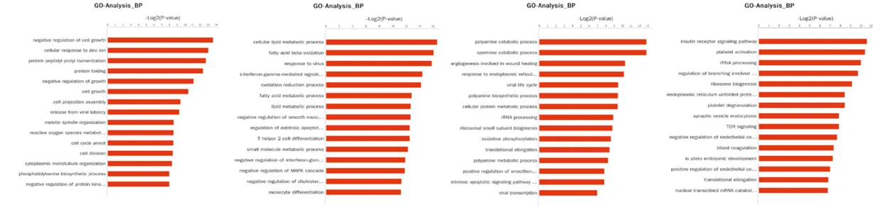 Figure 2. Gene ontology analysis of the screened DEGs in different group. A: The significant GO terms of DEGs in SV-HUV-1-RT4-T24 group; B: The significant GO terms of DEGs in SV-HUV-1-RT4-5637 group.