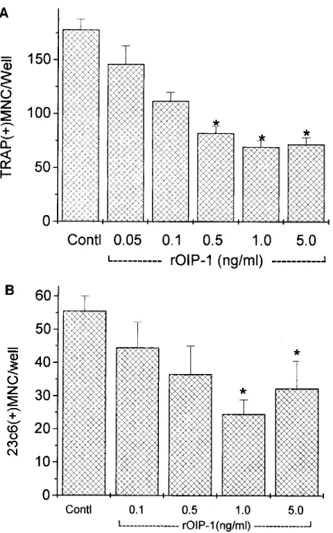Table I. Effects of OIP-1 on the Growth of Different Cell Types