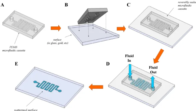 Figure 1.4 Utilization of PDMS microfluidic devices for patterned fluid delivery to surfaces