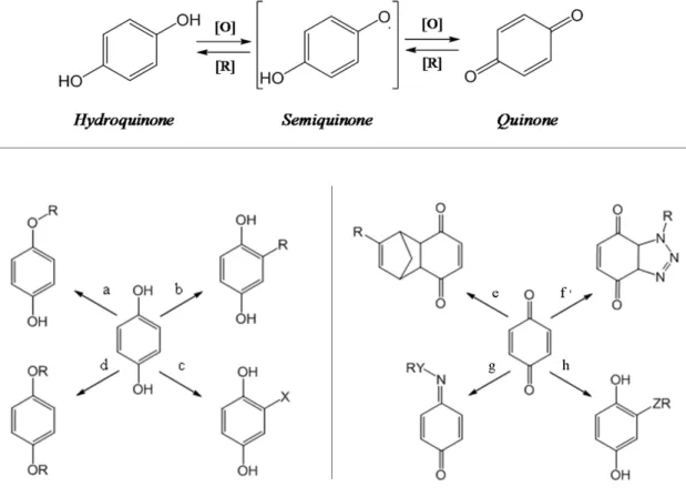 Figure 1.5 (Top) Redox-interconversion of hydroquinone and quinone (left) Reactivity of  HQ