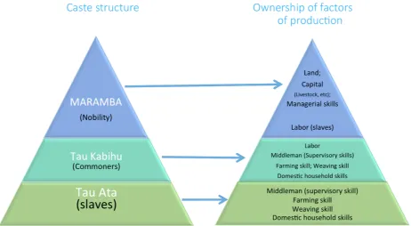Figure 2.1. Caste structure and ownership of factors of production 