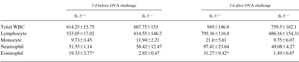 Figure 4. Comparison of IL-5 content in the BAL and serum be-tween IL-5��� and IL-5+/+ mice