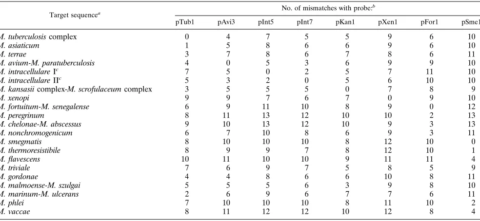 TABLE 4. Results of hybridization of the MAI complex andM. paratuberculosis 16S rDNA PCR products with MAIcomplex-speciﬁc oligonucleotide probes