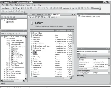 Figure 1-1 SQL Server Management Studio