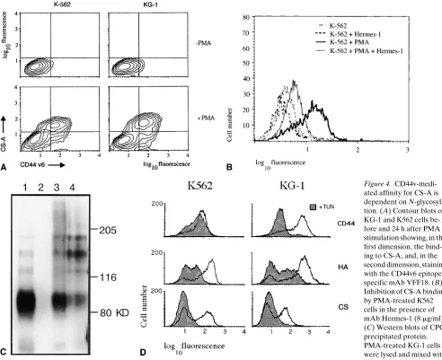 Figure 4. CD44v-medi-