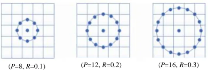 Fig.  7  gives  examples  of  circularly  symmetric  neighbor  sets  for  different  configurations  of  (P,  R)