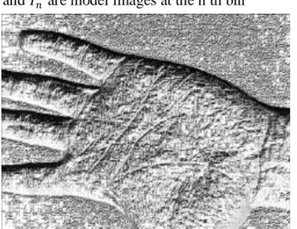 Fig.  8:  Texture  features  after  applying  MB-LBP  on  transformed  Image. 
