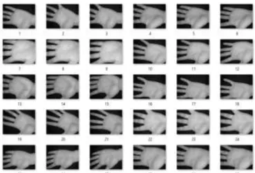 Fig.  10:  View  of  Sample  Palmprint  images  within  current  directory  taken from Biometric Ideal Test