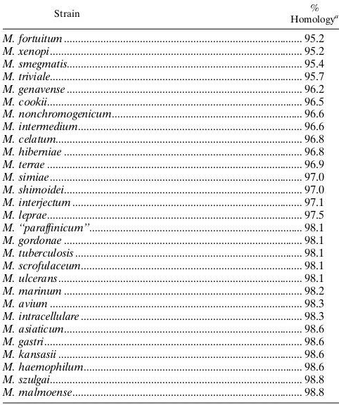 TABLE 6. Sequence homology of selected mycobacterial 16SrRNA sequences with Mycobacterium sp