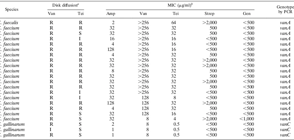 TABLE 1. Antimicrobial susceptibilities of 22 VRE