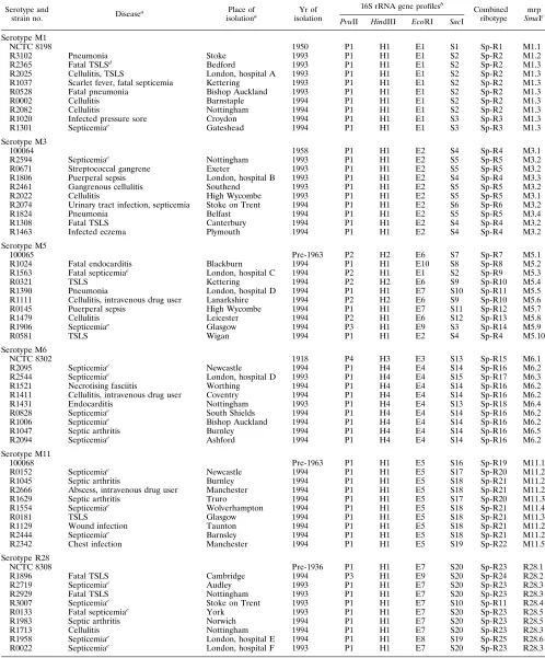 TABLE 1. Epidemiology and genotype markers of S. pyogenes strains
