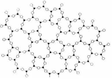 Fig. 1.1.1 Two dimensional schematic representation of the CRN model for SiO 2  (black  dots for Si atoms and open circles for oxygen atoms)