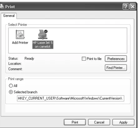 Figure 2-4The format of Regedit’s printer output is the same as the format that Regedit uses when exporting portions of the registry to a text file.
