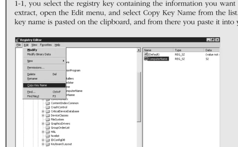 Figure 1-1 Registry Editor Copy Key Name feature 