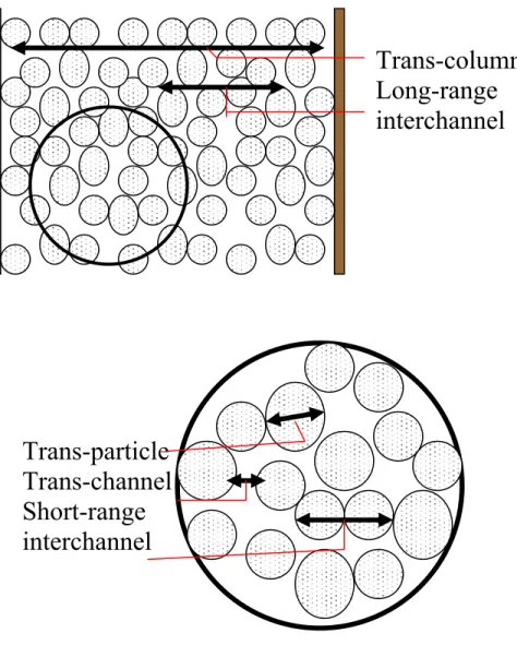 Figure 1-2: Diagram of the location and distance of the different contributions to eddy  dispersion in a packed column