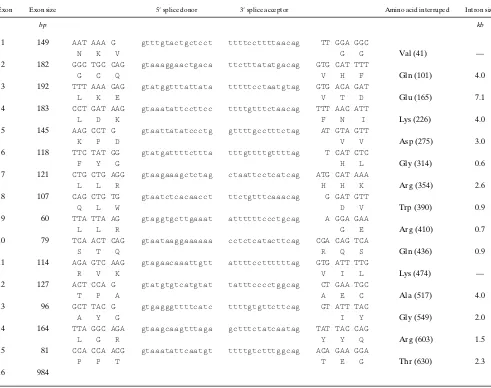 Table III. Exon-Intron Boundary Sequences of the GYS2 Gene