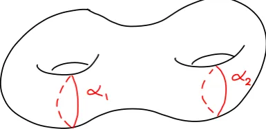 Figure 3.4: Illustrating α1 and α2 on a genus two surface S.