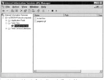 Figure 10-2: Internet Information Services Manager for IIS version 6.0.