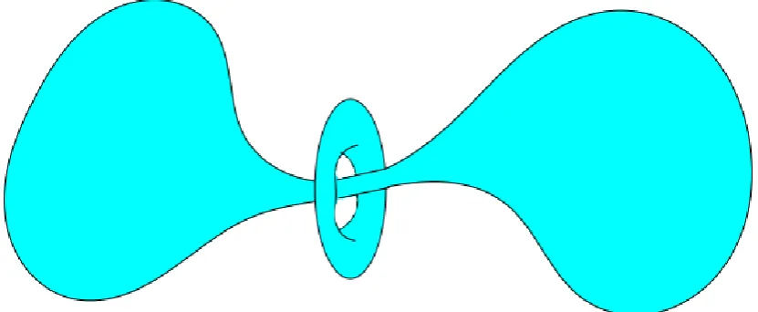 Figure 2.1: Angenent’s Shrinking Doughnut