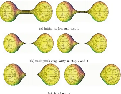 Figure 2.2: Grayson’s Dumbell, ﬁgure from [41]