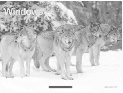 Figure 1-2. Every time I start up my PC, I can imagine myself in the wilds of Alaska